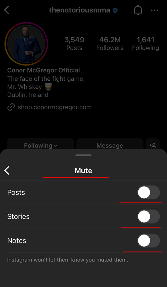 Mute Posts And Stories From Someone on Instagram app